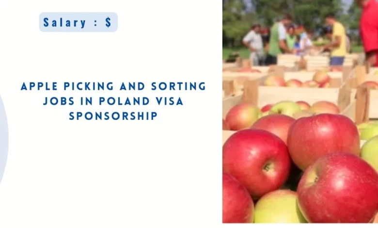 Apple Picking and Sorting Jobs in Poland