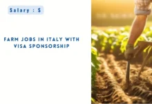 Farm Jobs in Italy