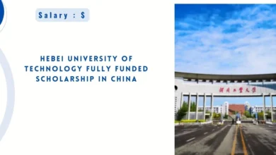 Hebei University of Technology Fully Funded Scholarship