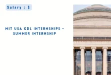 MIT USA GDL Internships