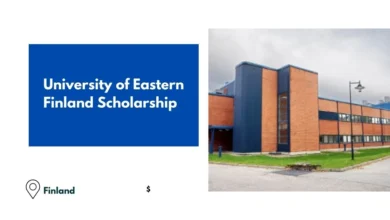 University of Eastern Finland Scholarship 2025