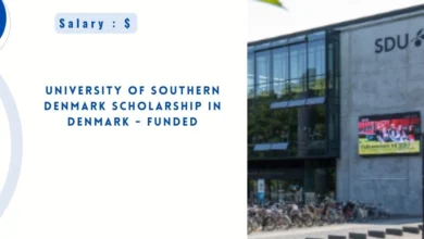 University of Southern Denmark Scholarship