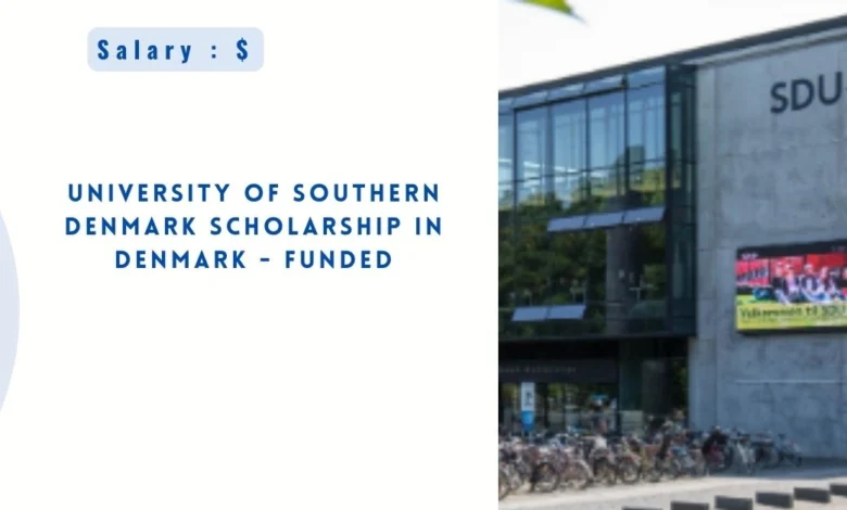 University of Southern Denmark Scholarship