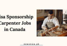 Visa Sponsorship Carpenter Jobs in Canada