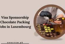 Visa Sponsorship Chocolate Packing Jobs in Luxembourg