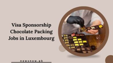 Visa Sponsorship Chocolate Packing Jobs in Luxembourg