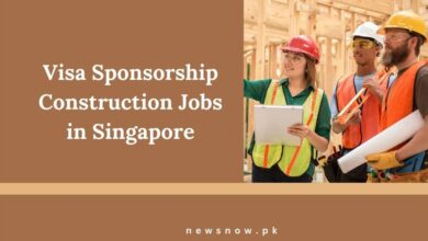 Visa Sponsorship Construction Jobs in Singapore