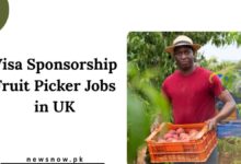 Visa Sponsorship Fruit Picker Jobs in UK