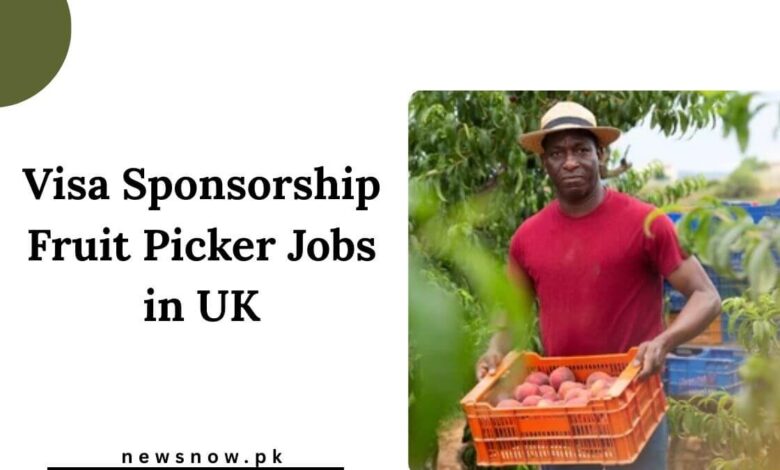 Visa Sponsorship Fruit Picker Jobs in UK