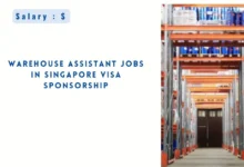 Warehouse Assistant Jobs in Singapore