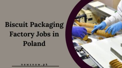 Biscuit Packaging Factory Jobs in Poland