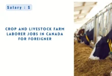 Crop And Livestock Farm Laborer Jobs in Canada