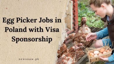 Egg Picker Jobs in Poland with Visa Sponsorship