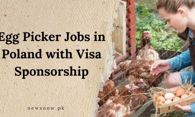 Egg Picker Jobs in Poland with Visa Sponsorship