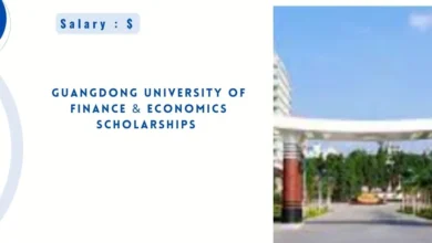 Guangdong University of Finance & Economics Scholarships