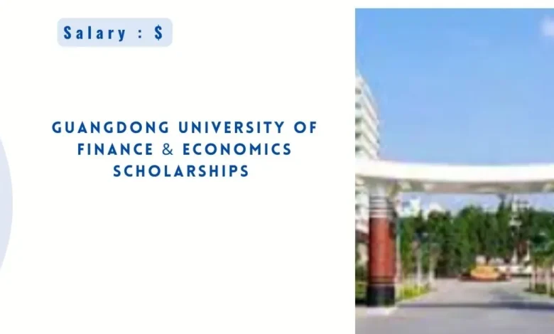 Guangdong University of Finance & Economics Scholarships