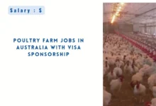 Poultry Farm Jobs in Australia