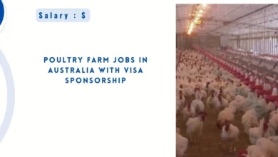 Poultry Farm Jobs in Australia