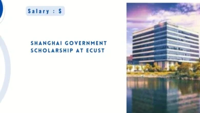 Shanghai Government Scholarship at ECUST