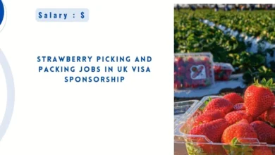 Strawberry Picking and Packing Jobs in UK