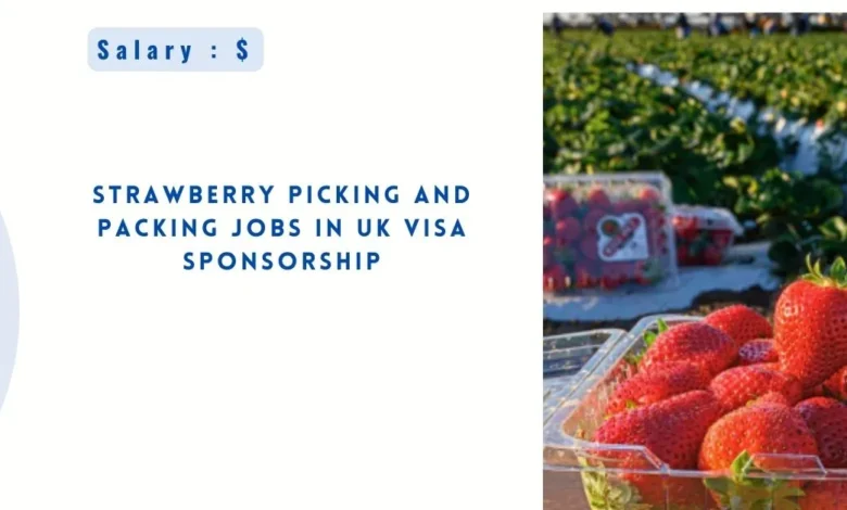 Strawberry Picking and Packing Jobs in UK