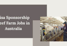 Visa Sponsorship Beef Farm Jobs in Australia