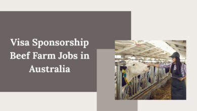 Visa Sponsorship Beef Farm Jobs in Australia