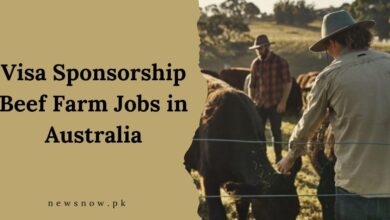 Visa Sponsorship Beef Farm Jobs in Australia