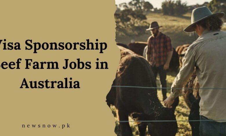 Visa Sponsorship Beef Farm Jobs in Australia