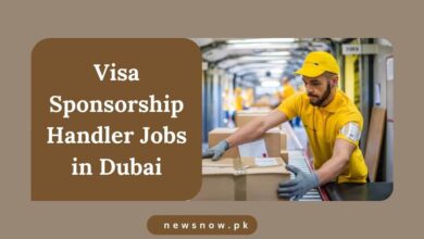 Visa Sponsorship Handler Jobs in Dubai