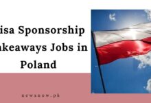 Visa Sponsorship Takeaways Jobs in Poland