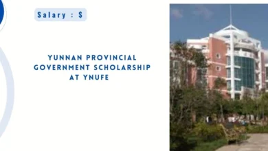 Yunnan Provincial Government Scholarship