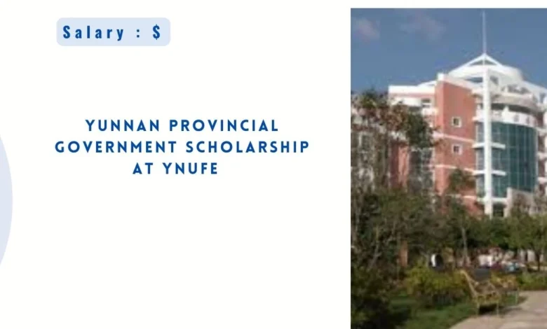 Yunnan Provincial Government Scholarship