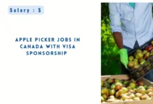 Apple Picker Jobs in Canada