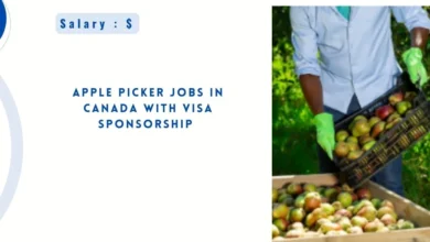 Apple Picker Jobs in Canada