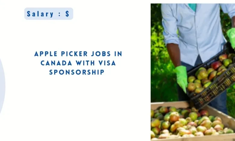 Apple Picker Jobs in Canada