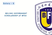 Beijing Government Scholarship 