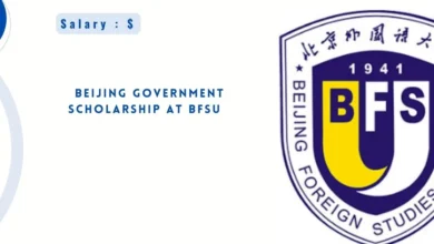 Beijing Government Scholarship 