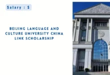 Beijing Language and Culture University China Link Scholarship