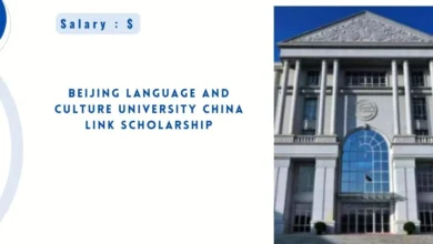 Beijing Language and Culture University China Link Scholarship