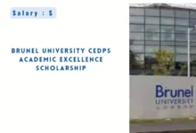 Brunel University CEDPS Academic Excellence Scholarship