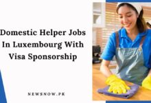 Domestic Helper Jobs In Luxembourg With Visa Sponsorship