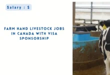 Farm Hand Livestock Jobs in Canada