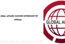 Global Affairs Summer Internship