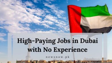 High-Paying Jobs in Dubai with No Experience