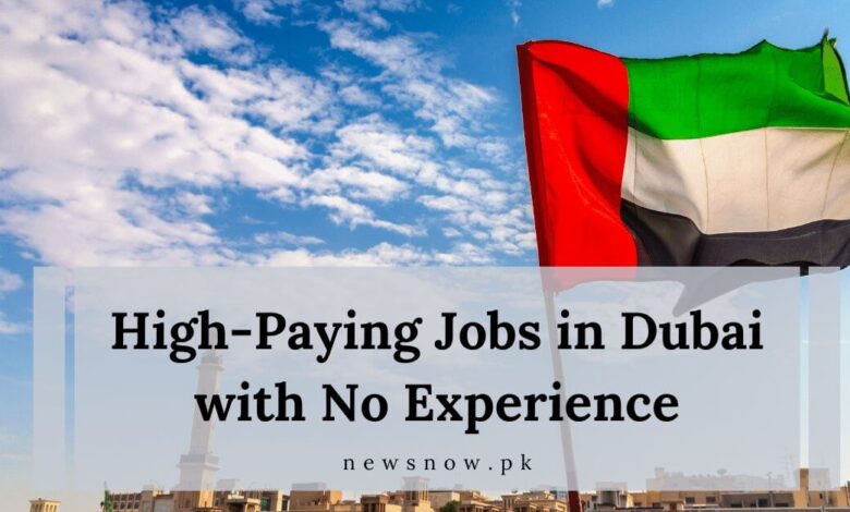 High-Paying Jobs in Dubai with No Experience