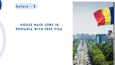 House Maid Jobs in Romania