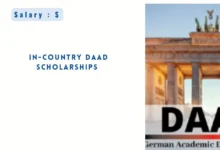 In-Country DAAD Scholarships