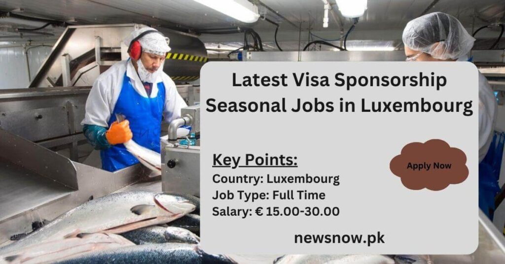 Latest Visa Sponsorship Seasonal Jobs in Luxembourg