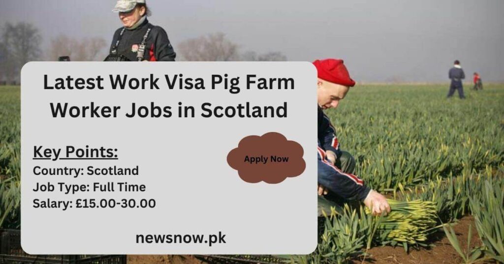 Latest Work Visa Pig Farm Worker Jobs in Scotland